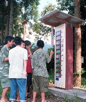 Beetle vending machine